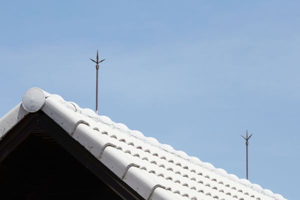 Lightning Protection Service