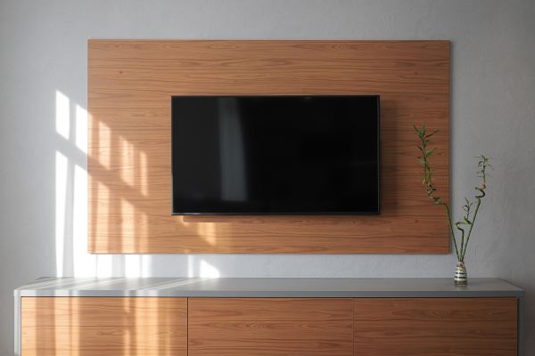 TV Mount Installation Service
