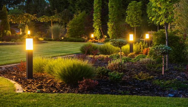 Backyard Lighting Installation
