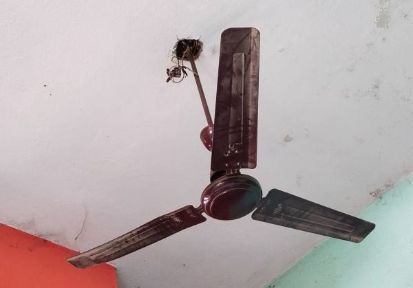 Ceiling Fan Motor Repair