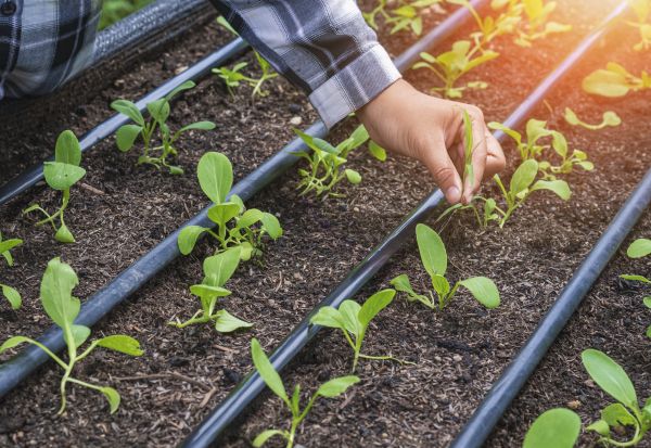 Inground Irrigation Service
