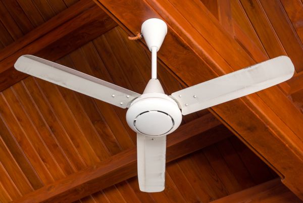 Ceiling Fan Assembly
