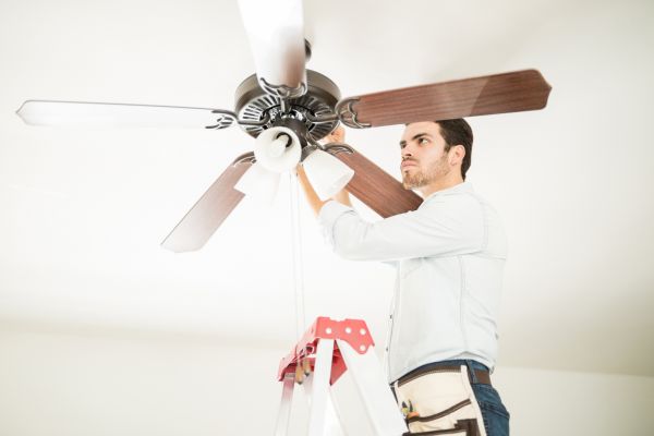 Ceiling Fan Assembly