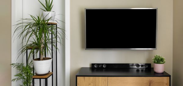 Audio Video Integration