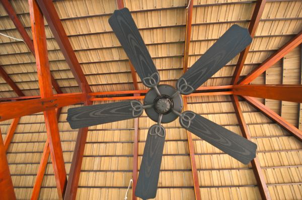 Ceiling Fan Light Installation