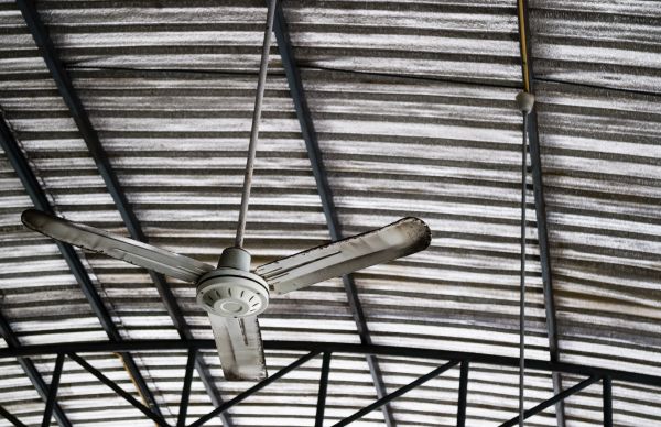 Ceiling Fan Assembly