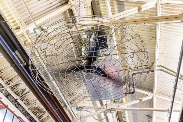 Ceiling Fan Maintenance